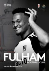 Fulham v Newcastle United