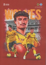 Wolverhampton Wanderers v Brighton & Hove Albion