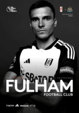 Fulham v Newcastle United