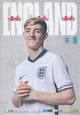 England v Boznia Herzegovina