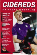 Bristol City v Willem II