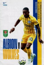 Brighton & Hove Albion v Wolverhampton Wanderers