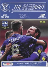 Cardiff City v Stoke City