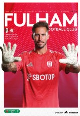 Fulham v Bristol City