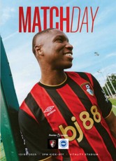 Bournemouth v Brighton & Hove Albion