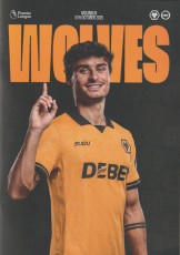 Wolverhampton Wanderers v Brighton & Hove Albion