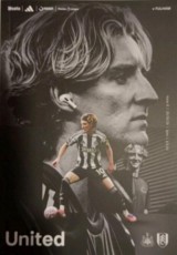 Newcastle United v Fulham