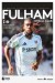 Fulham v Manchester City