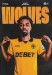 Wolverhampton Wanderers v Liverpool