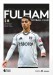 Fulham v Aston Villa