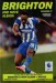 Brighton & Hove Albion v Wolverhampton Wanderers