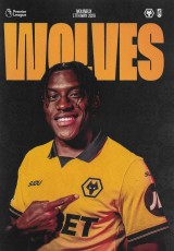 Wolverhampton Wanderers v Fulham
