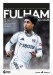 Fulham v Newcastle United
