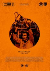 Wolverhampton Wanderers v Stoke City
