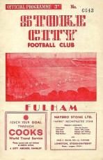 Stoke City v Fulham