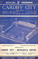 Cardiff City v Newcastle United