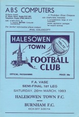 Halesowen Town v Burnham