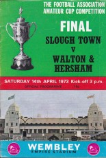 Slough Town v Walton & Hersham
