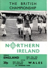 Northern Ireland v England