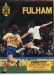 Fulham v Stoke City