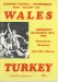 Wales v Turkey