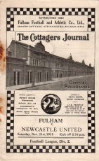 Fulham v Newcastle United