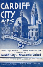 Cardiff City v Newcastle United