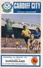 Cardiff City v Sunderland