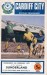 Cardiff City v Sunderland