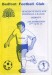 Bedfont v AFC Wimbledon