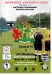Southall v AFC Wimbledon