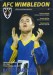 AFC Wimbledon v Raynes Park Vale