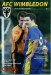 AFC Wimbledon v Cobham