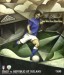 Italy v Ireland
