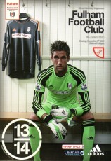Fulham v Aston Villa