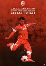 Cardiff City v Wolfsburg