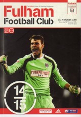 Fulham v Norwich City