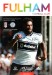 Fulham v Leicester City