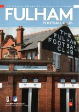 Fulham v Hoffenheim