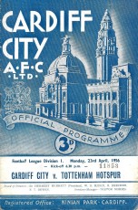 Cardiff City v Tottenham Hotspur
