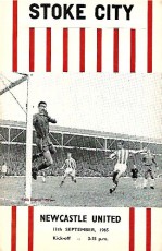 Stoke City v Newcastle United