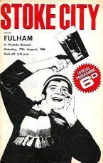 Stoke City v Fulham