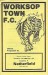 Worksop Town v Netherfield