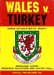 Wales v Turkey