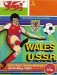 Wales v Russia
