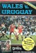 Wales v Uruguay