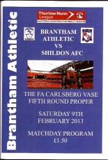 Brantham Athletic v Shildon