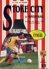 Stoke City v Arsenal